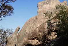 普陀山风景名胜区二龟听法石