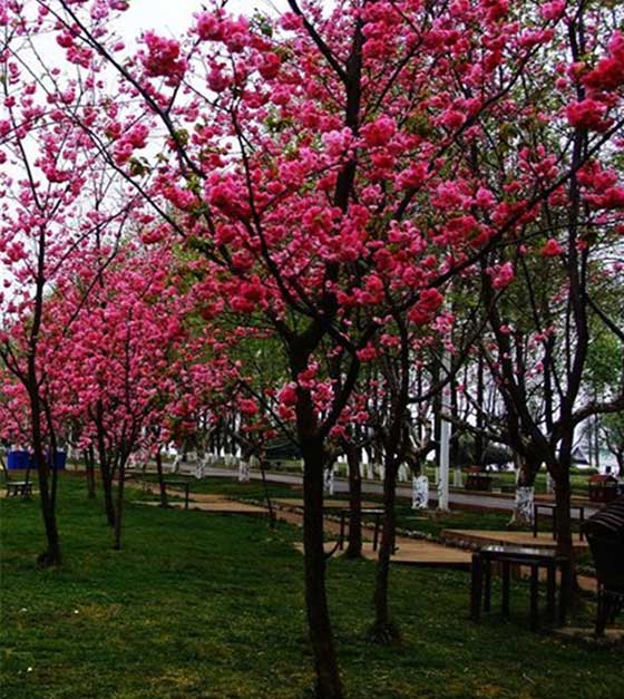 桂林南溪山景区14060