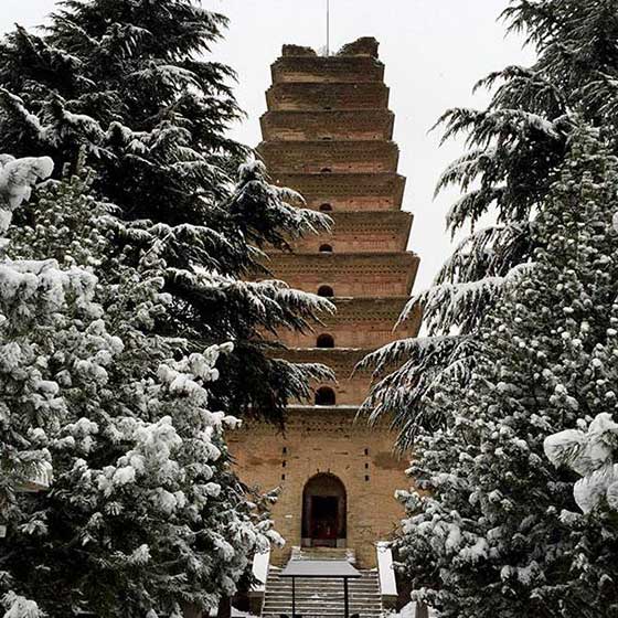 香积寺善导塔 香积寺善导塔