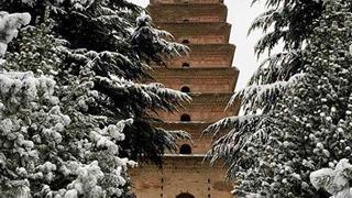 香积寺善导塔 香积寺善导塔