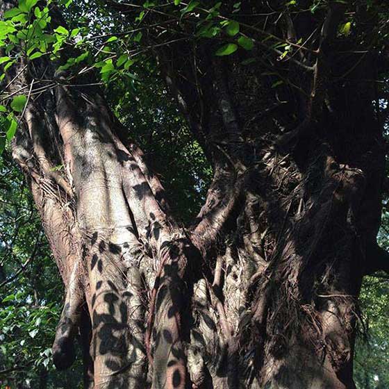 独秀峰·王城景区13585