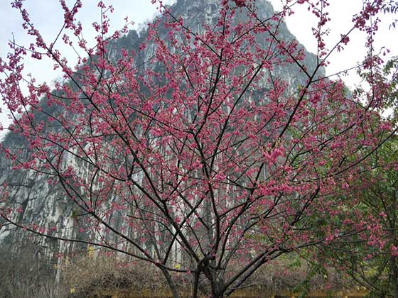 桂林南溪山景区14070