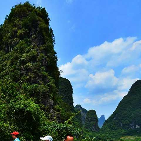 天籁·蝴蝶泉14089