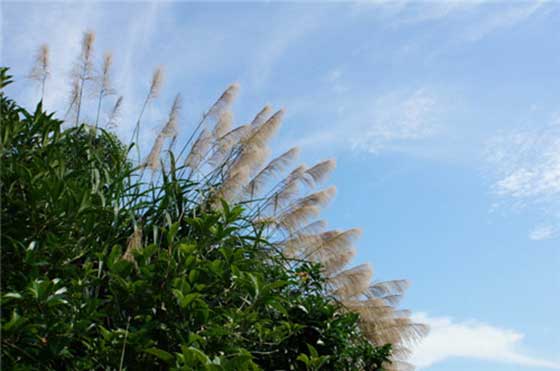 仙源湖旅游度假区14119