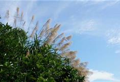 仙源湖旅游度假区延岭脚