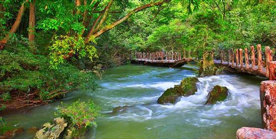 天星桥景区13063
