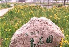 莫愁湖公园中日友好鸢尾园