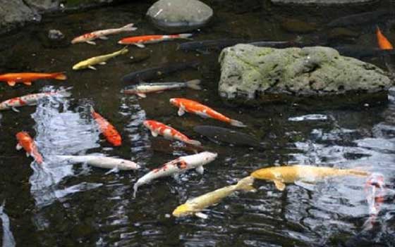 漓江冠岩风景区14124