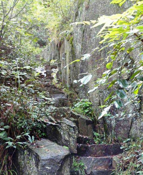莫干山大坑景区14105
