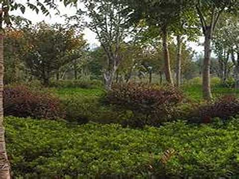 横店华夏文化园13208