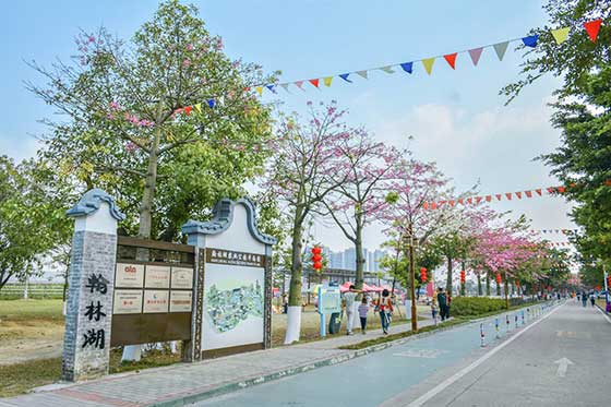 丹灶翰林湖农业公园_佛山翰林湖介绍门票及游玩攻略