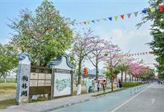 佛山丹灶翰林湖农业公园