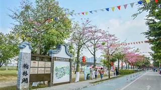 佛山丹灶翰林湖农业公园