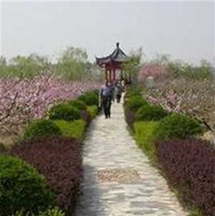 世外桃源景区13968