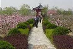 世外桃源景区燕子山村