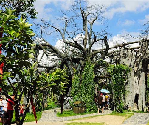 横店梦幻谷13234