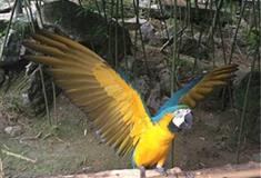 图腾古道动物摄影区