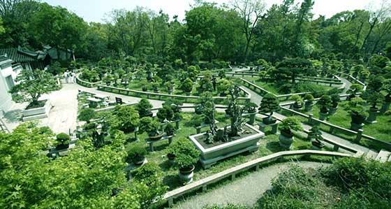虎丘山风景区万景山庄 虎丘山风景区万景山庄
