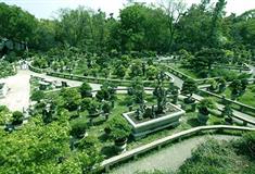 虎丘山风景区万景山庄