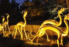 大唐芙蓉园赤金走龙