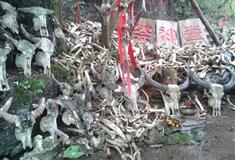 图腾古道祭神台