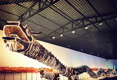 江南三民文化村中华龙宫