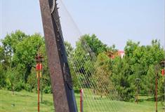 大唐芙蓉园古琴