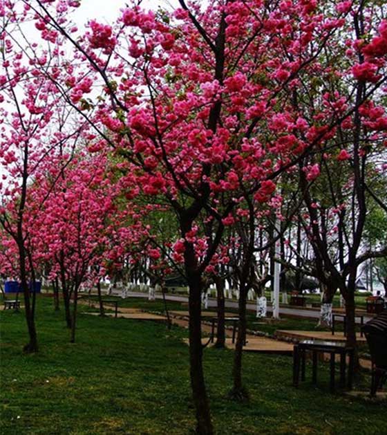桂林南溪山景区14062