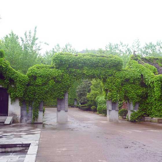 横店清明上河图13689