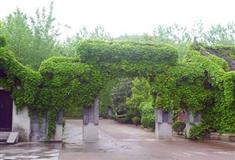 横店清明上河图童府