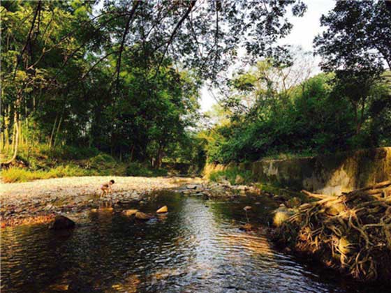 仙源湖旅游度假区14118