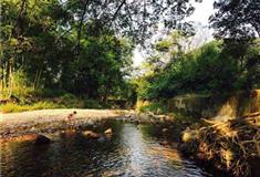 仙源湖旅游度假区项村