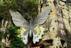 天籁蝴蝶泉蝴蝶馆