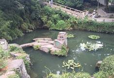 虎丘山风景区点头宝文