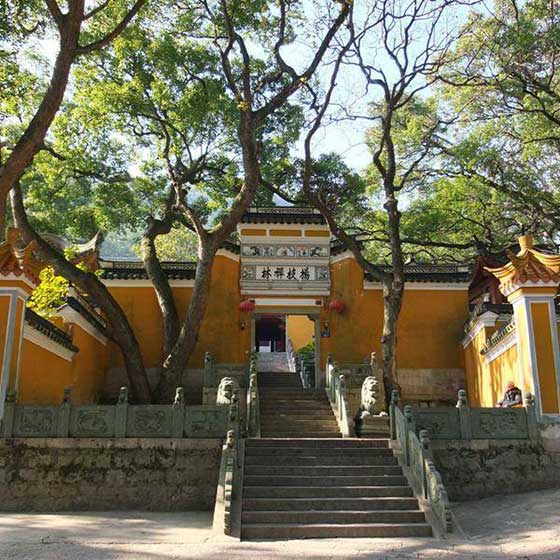 普陀山风景名胜区13383