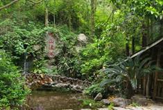 天籁蝴蝶泉蝶山瀑布