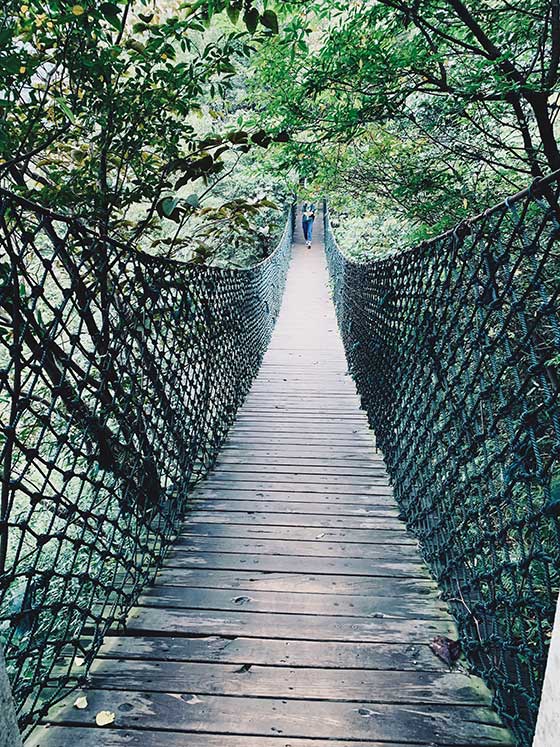 莫干山大坑景区14103