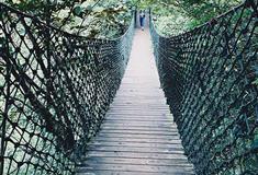 莫干山大坑景区流云桥