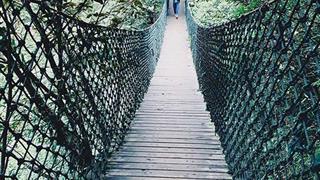 莫干山大坑景区流云桥