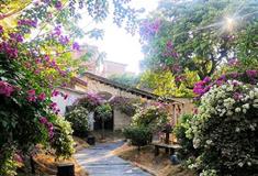 广州花山小镇在哪？花都花山小镇游玩攻略