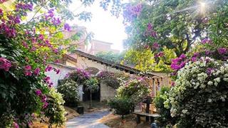 广州花山小镇在哪？花都花山小镇游玩攻略