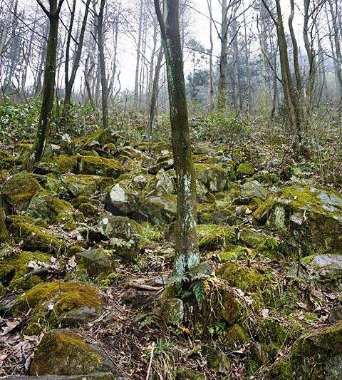 莫干山大坑景区14102