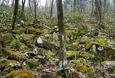 莫干山大坑景区滚石瀑