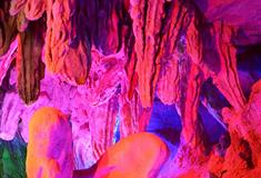 天籁蝴蝶泉地籁之音