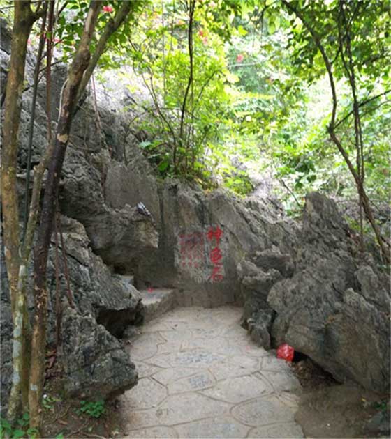 天籁·蝴蝶泉14081