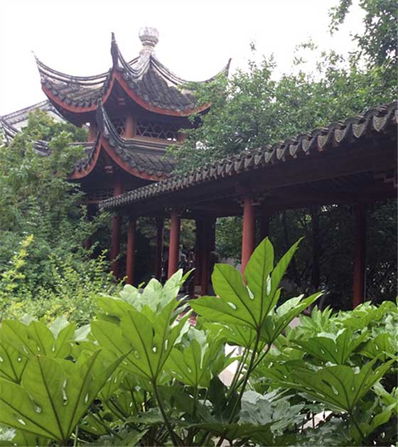 南京莫愁湖13909