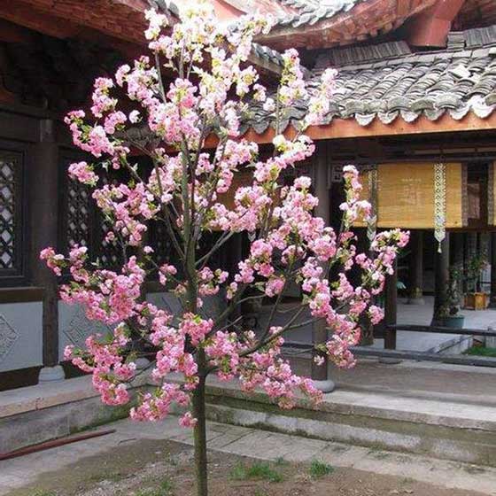 横店清明上河图13690