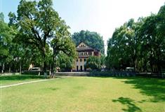 独秀峰·王城景区龙爪树