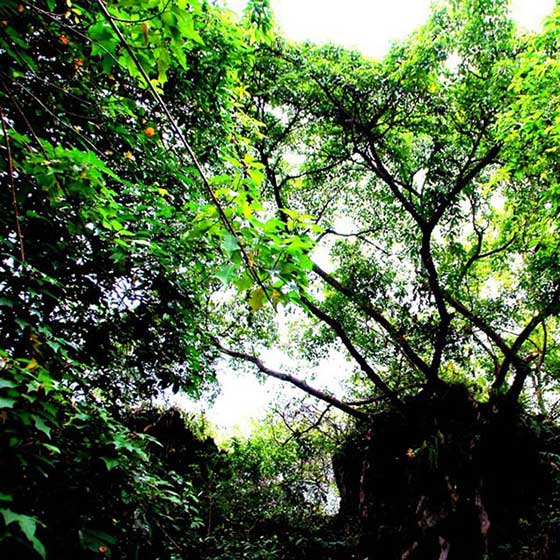 天星桥景区13053