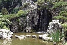 南京夫子庙南假山